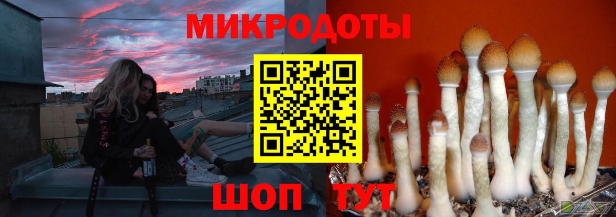 Великий Устюг  Псилоцибиновые грибы прущие грибы  цены наркотик  Вход с VPN 